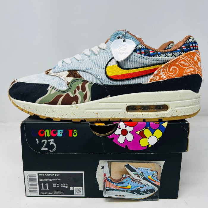 Nike Air Max 1 SP Concepts Heavy