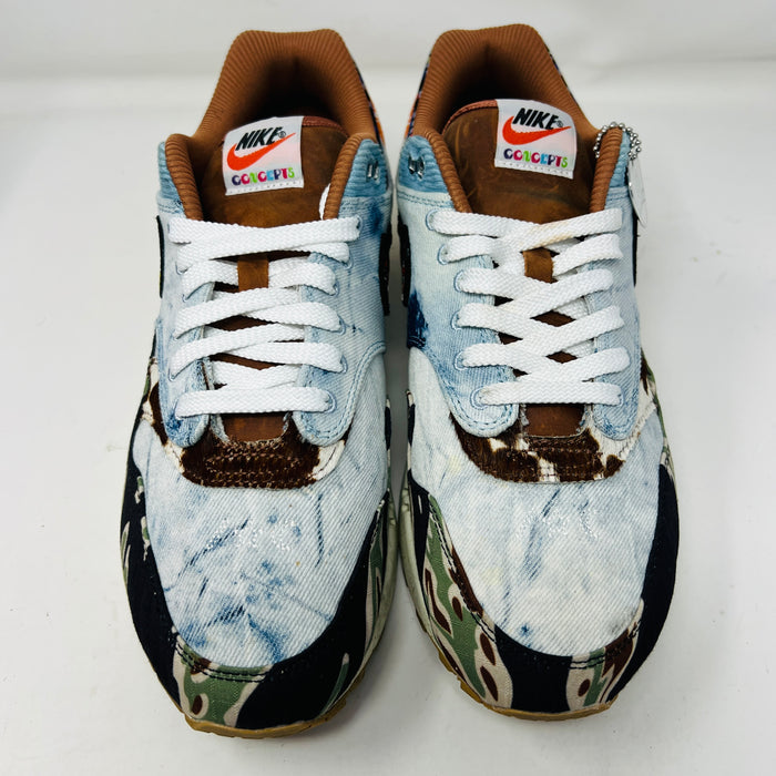 Nike Air Max 1 SP Concepts Heavy