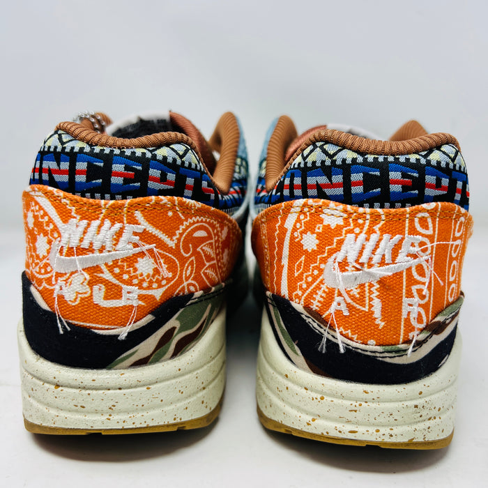 Nike Air Max 1 SP Concepts Heavy