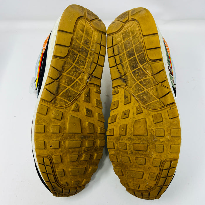 Nike Air Max 1 SP Concepts Heavy