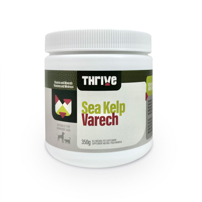 Big Country Raw🍁 Thrive Sea Kelp 350g