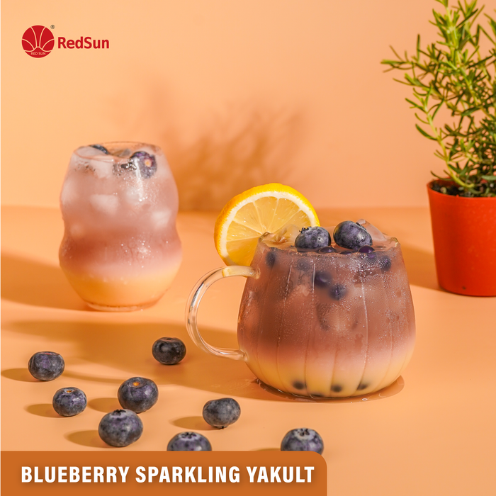 Blueberry Syrup 5KG (11LBS) (Bottle)