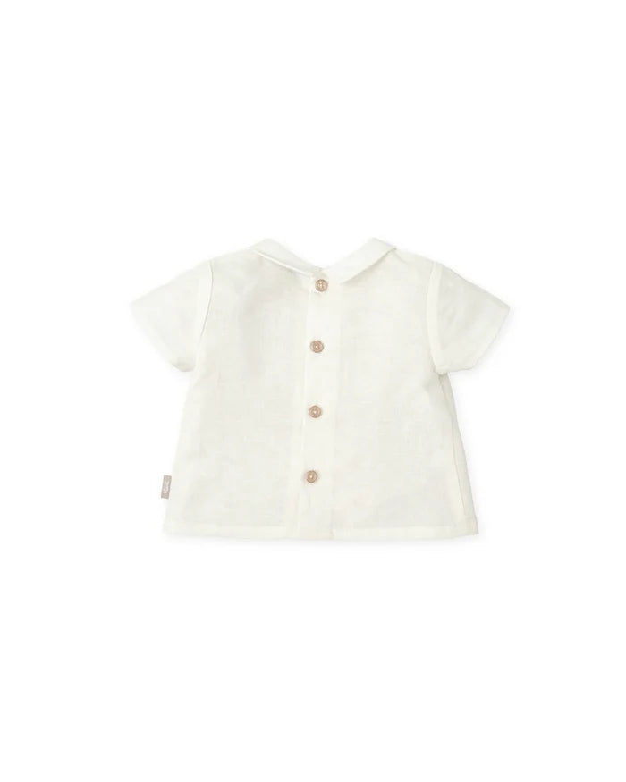Boy Set Sea Green