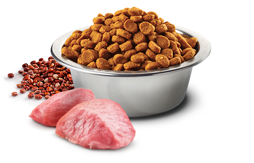 Farmina N&D Adult Mini Weight Management Quinoa & Lamb for Dogs 2.5kg
