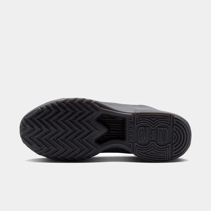 LeBron Witness IX